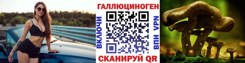 Купить закладки  Карабаш  Псилоцибиновые грибы GOLDEN TEACHER 
